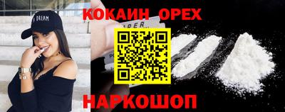 apvp Шадринск