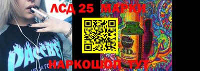 apvp Шадринск