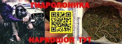 apvp Шадринск
