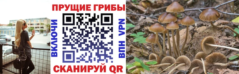 даркнет телеграм  продажа наркотиков  Владикавказ  Псилоцибиновые грибы MAGIC MUSHROOMS 
