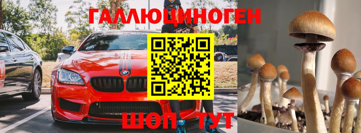Галлюциногенные грибы ЛСД Владикавказ